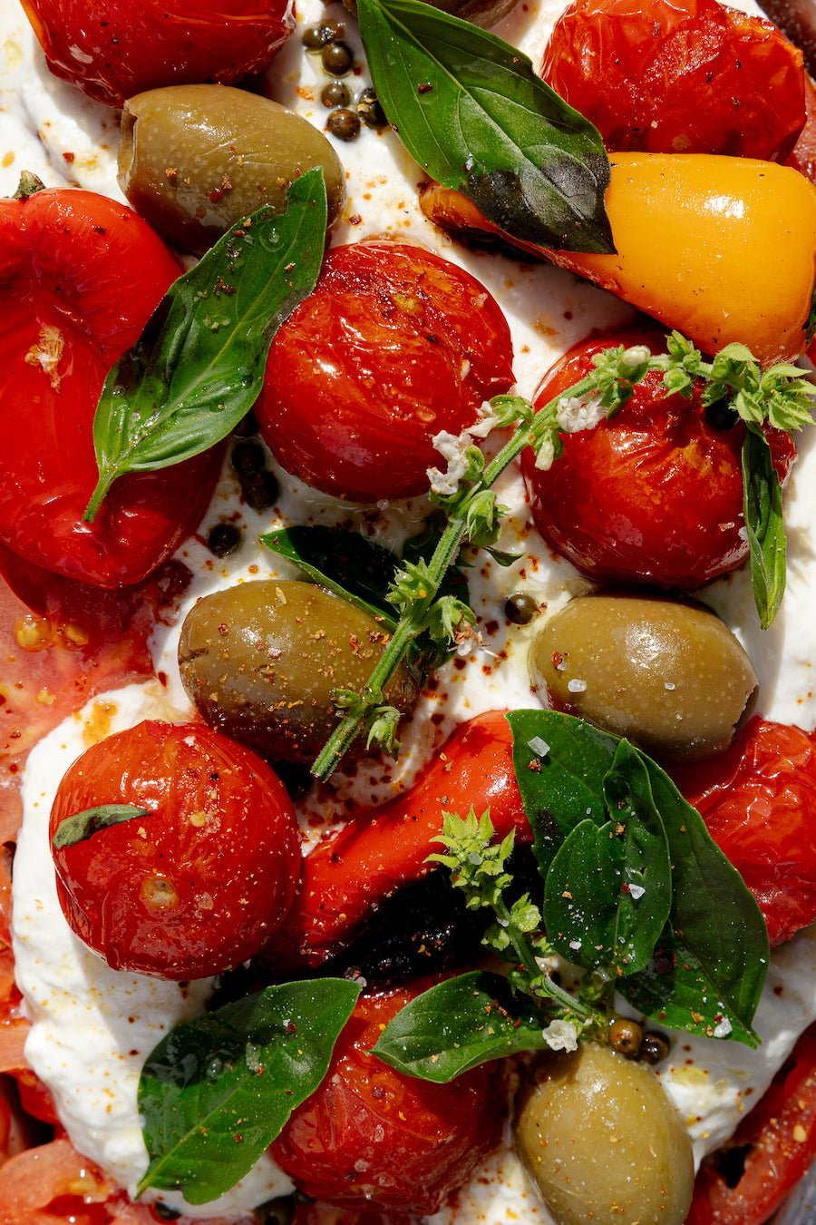 La Bruschettarte - Atma Kitchenware