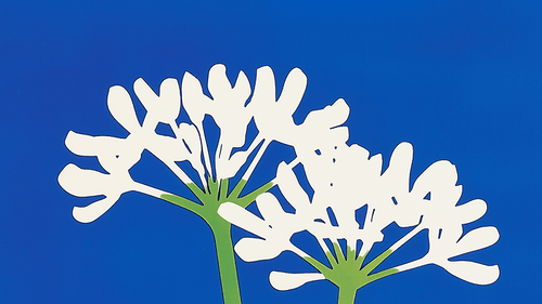 SÉRIE : AIL DES OURS - Atma Kitchenware