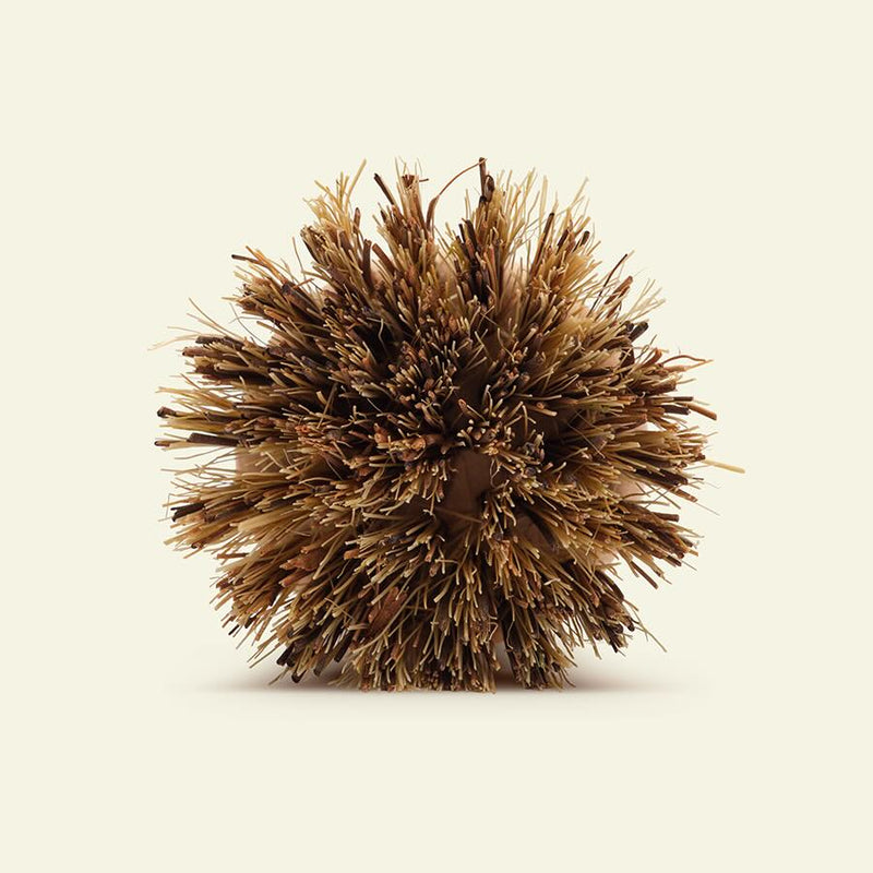 El cepillo de cocina natural - Atma Kitchenware
